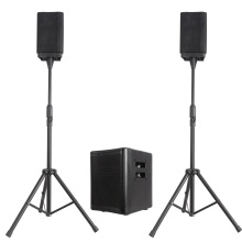 1000W 8" Subwoofer Karaoke Set - Powered 2.1 Channel TWS Indoor Party Speaker DJ/PA System + Array Line