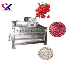 Taiwan Technology Lychee Processing Line: Peeling Machine to Juice Maker