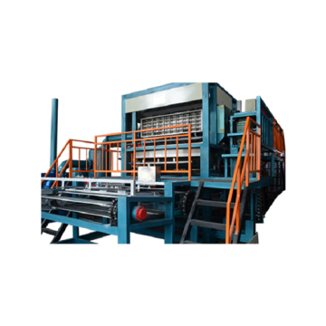 Apple Tray Production Line