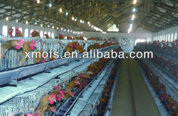 Chicken house ventilation fans