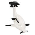 Standing Desk Exercise Bike Magnetic Indoor Cycling