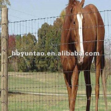 Hinge Joint Knot Field Fence For Animals