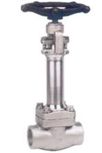 Low Temperature Forged Steel Globe Valve