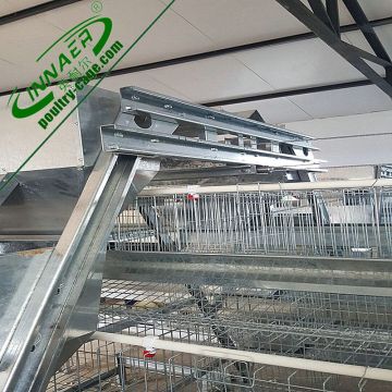galvanized material and chicken use poultry farm shed                        
                                                                                Supplier's Choice