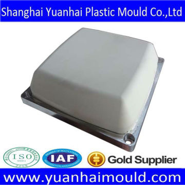 Blister mould in shanghai