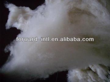 fine animal hair cashmere wool