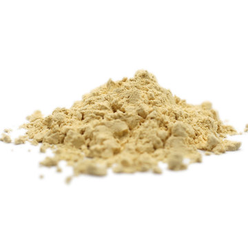 Pea Protein Powder Orgânica