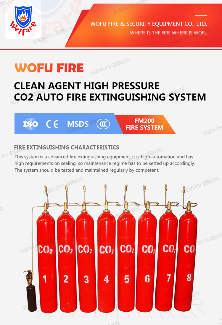 High pressure CO2 gas extinguishing system