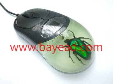 real Insect Amber usb optical mouse