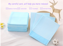 Toilet Sanitary Training Pads