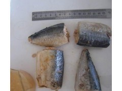 Delicious ! 425g canned jack mackerel in Brine