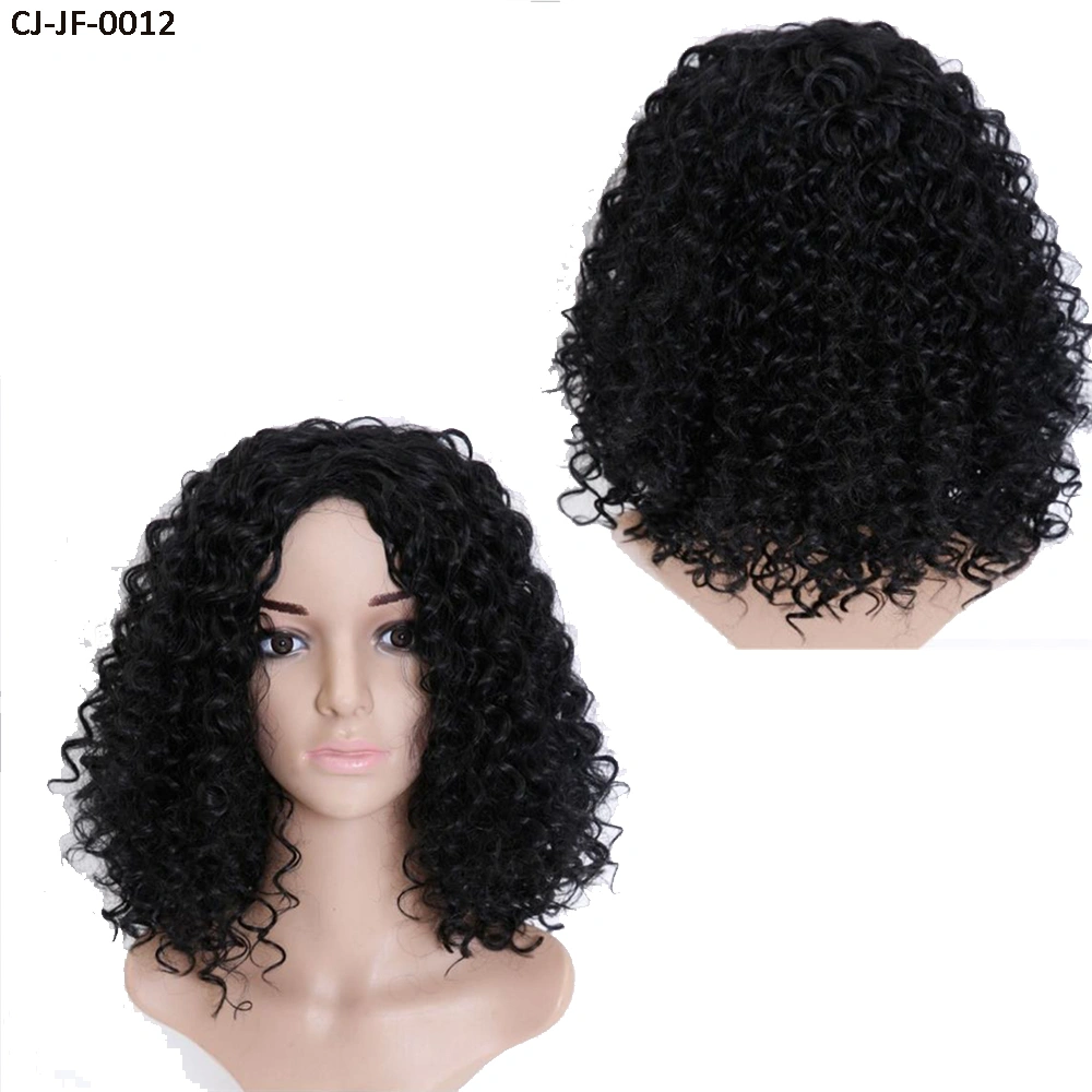 Fancy New Short Curly Hair Chemical Fiber High Temperature Silk Small Roll Afro Wig Cover Human Hair Full Lace Wigs for Women