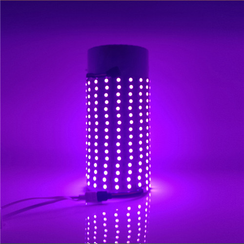 LEDER 3색 LED 스트립 라이트