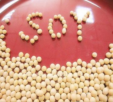 Non-GMO Soybeans