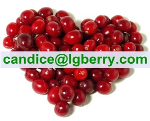 Importted Cranberry fruit100% Pure Cranberry Extract powder