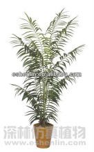 mini phoenix tail artificial palm tree
