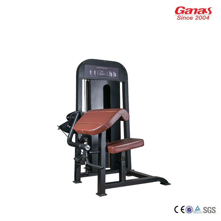 Professional Biceps Curl Machine