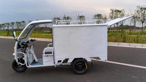 Express three-wheeled electric vehicle with carria