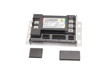 OEM electric rickshaw controller