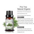 High Quality Pure Aromatherapy Pine Tree Essential Oil Set Diffuser Essential Oil