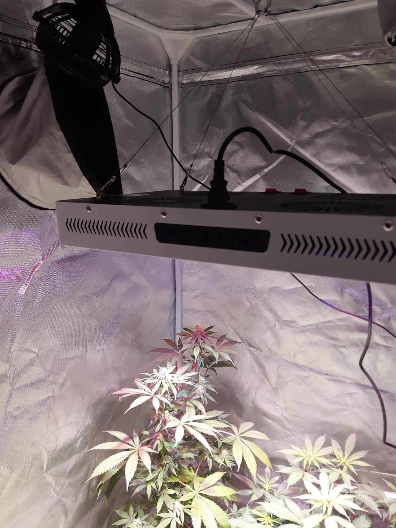 2000W Grow light