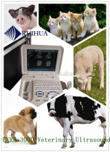 Quality All Digital Laptop Ultrasound Scanner/Machine VET/ Veterinary Ultrasound Scanner
