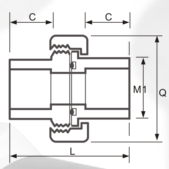 DIN PN16 Water Supply Cpvc Union Grey Color