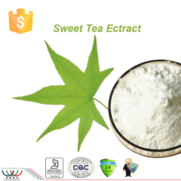 Chinese Sweet Tea Extract, Sweet Tea Leaf Extract 70%