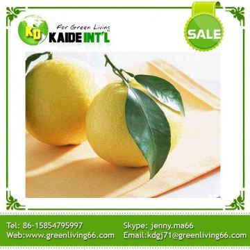 White Fleshed Grapefruit Honey Pomelo