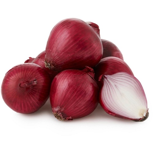 Export The High Quality Red Onion