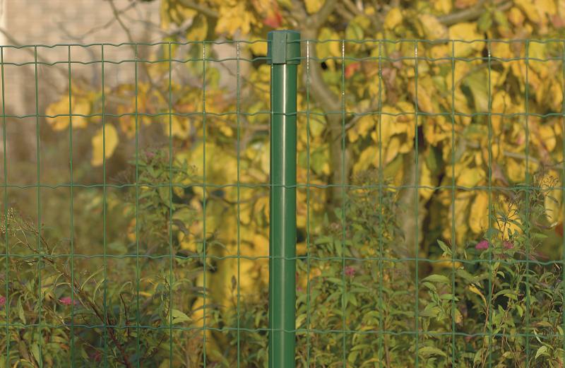 Euro Welded Fence Green Wire Mesh