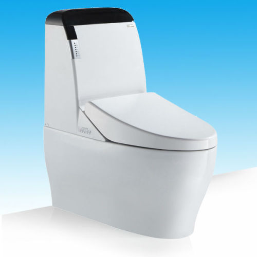 wc automatic smart sanitary wc