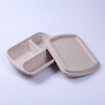 Disposable Molded Pulp Packaging Box Food Lunch Box