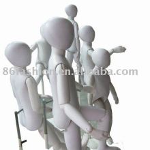 children model,plastic model