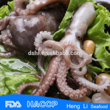 Premium quality giant frozen octopus