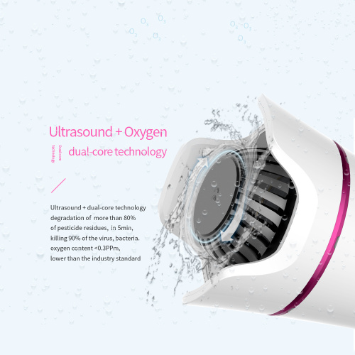 Kitchen vegetable fruit washer ozone ultrasound cleaner