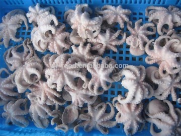 IQF faw flowered baby octopus gutted