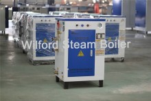 Quick Start Electric Steam Generator