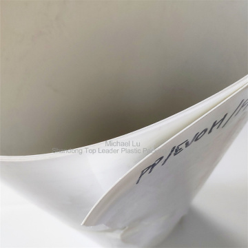 white thermoforming PP evoh barrier Lamination sheet