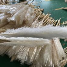 Wholesale Pampas Grass 120cm - Large Tall Dried Flowers White Pampas Grass for Decoration
