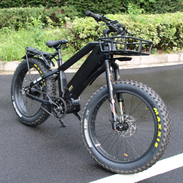 Rohloff 14-Speed Electric Hybrid Bike with Bafang Motor and Dual Batteries