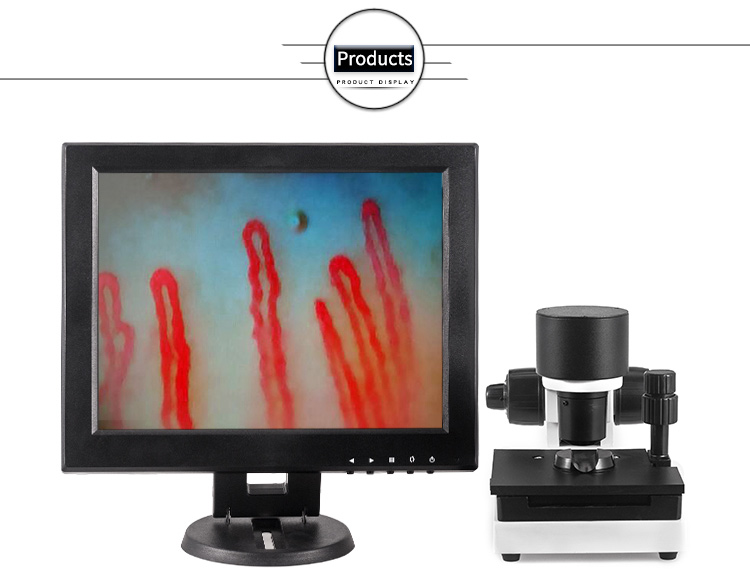 Blood Capillary Microcirculation