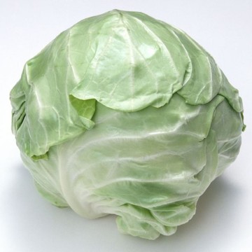 Chinese fresh green cabbage price