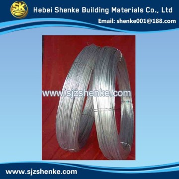 China Professional Good Electro Galvanized Wire