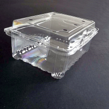 Hinged Food Container Clear Salad PET Packaging Box