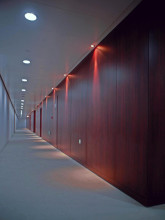 Water proof interior wpc wall cladding, anti-aging house wall cladding,composite wall cladding