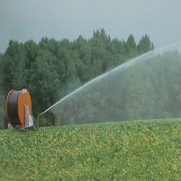 Hose reel irrigation system with rain gun