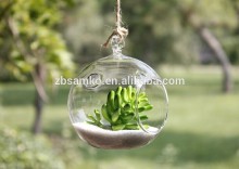 Glass Terrarium & Glass Hanging Vase&Garden Item