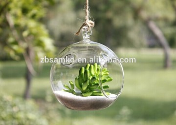 Glass Terrarium & Glass Hanging Vase&Garden Item