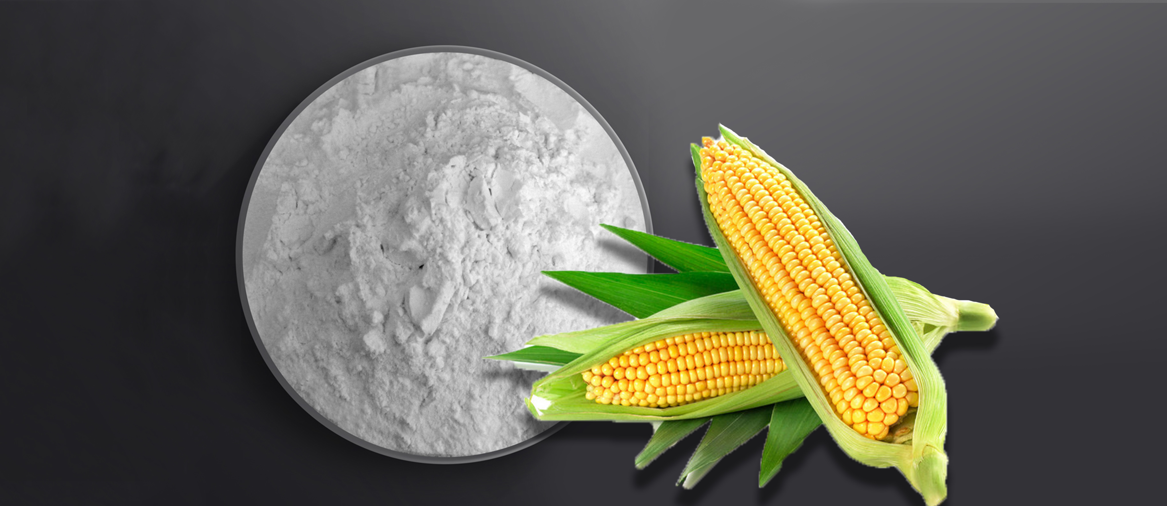 modified starch